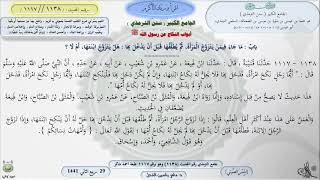 صورة شرح الجامع الكبير سنن الترمذي : باب ماجاء في من يتزوج المرأة ، ثم - - الحديث 1138 || ماهرياسين الفحل