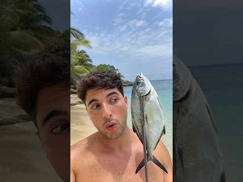 PESCANDO mi CENA | Catch and Cook #animales #peces #playa #pesca
