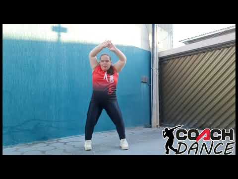 Mc Danny e cesinha mello METODOLOGIA COACH DANCE