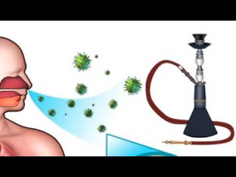 Mesoni te këqijat që ndodhin në trup kur pini shisha