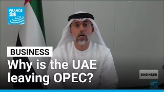 UAE's OPEC Exit: Oil Market Implications