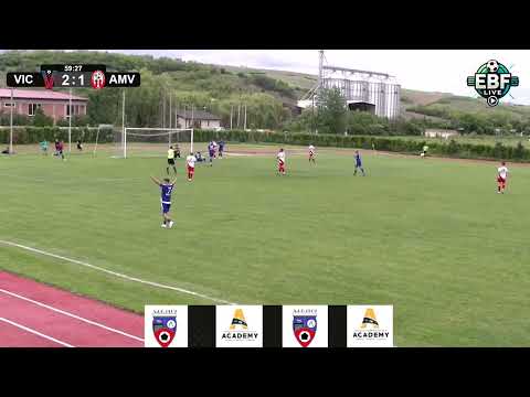 Rezumat: 𝐕𝐈𝐂𝐓𝐎𝐑𝐈𝐀 𝐕𝐈𝐈𝐒𝐎𝐀𝐑𝐀 - 𝐀𝐑𝐈𝐄𝐒𝐔𝐋 𝐌𝐈𝐇𝐀𝐈 𝐕𝐈𝐓𝐄𝐀𝐙𝐔 𝟑:𝟏