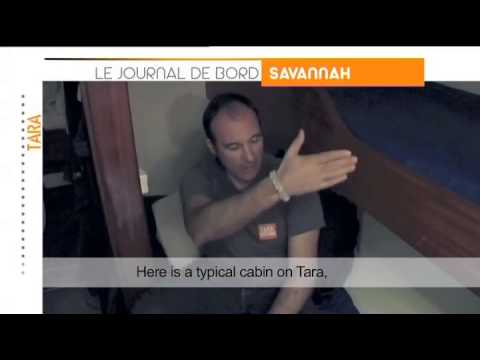 TARA OCEANS: Logbook 2 - Life on board - Savannah