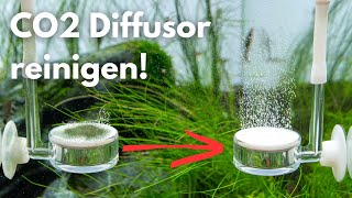 CO2 Diffusor und Twinstar einfach reinigen!