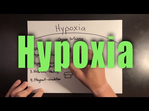 Hypoxia in Helicopter Pilots