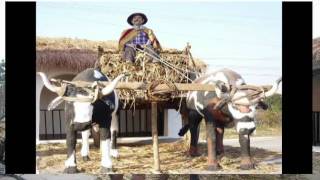 preview picture of video 'Tercera jornada de festival de la feria simoca 2010'