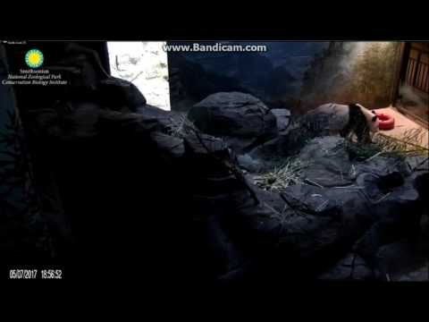 2017.05.07 MEI XIANG'S DARK DINNER