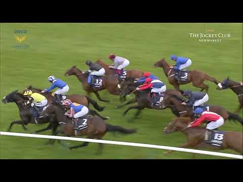 10 Years of the QIPCO 2000 Guineas