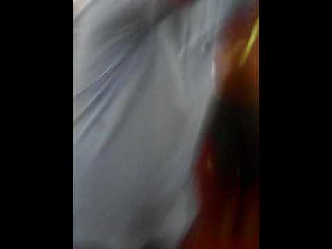 Nunta anului 2016 la hotarele