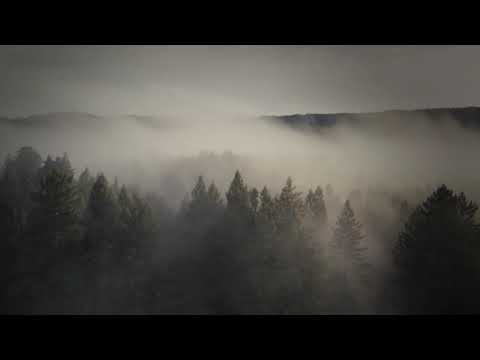 novemthree  - In the Soil