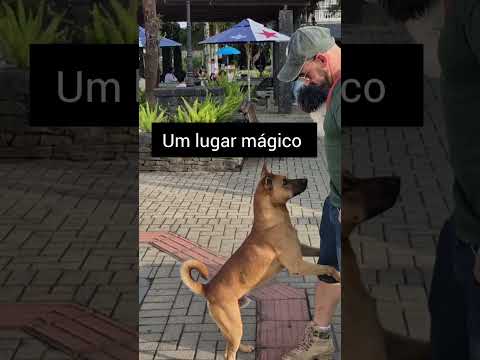 Você conhece esse lugar ?