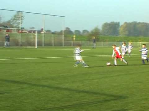 IJsselmeervogels F12