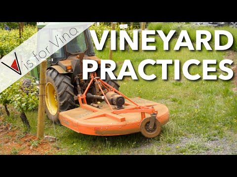 What is Organic, Biodynamic, and Sustainable Wine and Wine Making? - V is for Vino Wine Show