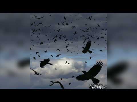 EVILLAIRE - FLOCK ! (ISRAEL MONEY+NXSTA)