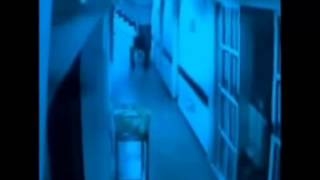 【TFBOYS】Little Genius 小精靈｜動態歌詞