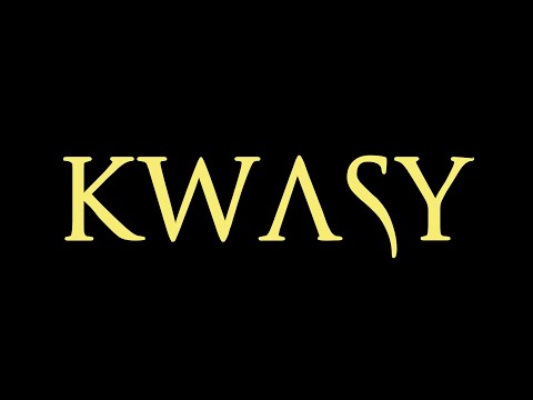 TRANSSEXDISCO - KWASY [oficjalne audio]