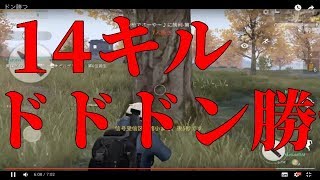 【ゲーム実況｜荒野行動】ドドドン勝つ！？漢の本気