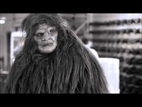 The Divine Comedy - Bad Ambassador