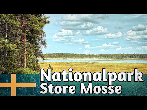 Store Mosse Nationalpark - Das größte Moor in Südschweden - Wandern in Schwedens Nationalparks