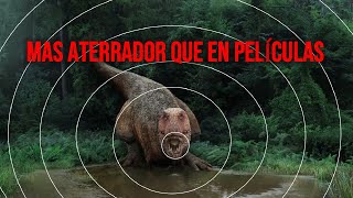 ¿Cómo sonaban realmente los dinosaurios? (Audio real)