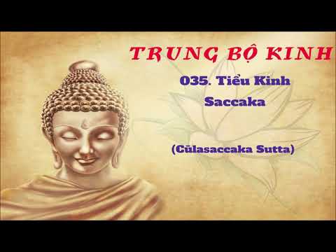 035 - Tiểu Kinh Saccaka - Cūḷasaccaka Sutta