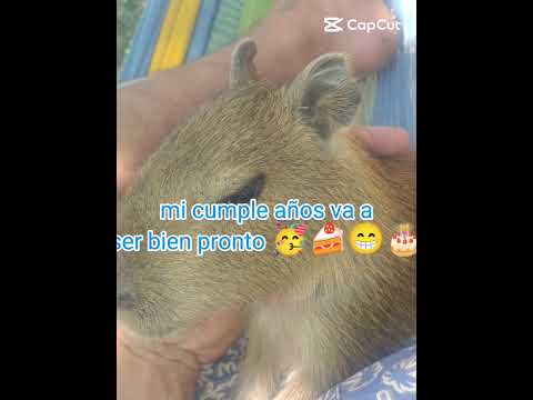 no olvides de mi cumple chicos en Gameza,Boyacá, Colombia 🇨🇴