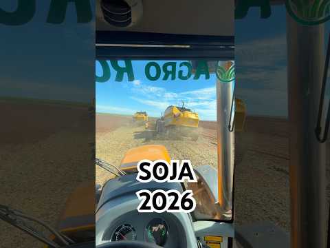 Colheita do soja safra 2026 em santa Rita do Trivelato MT