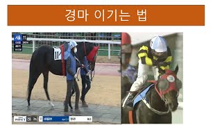 경마교실/경마초보/경마가이드/경마교실/경마예상/경마두배로 즐기기