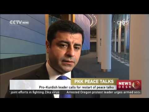 Pro-Kurdish leader calls for restart of peace talks