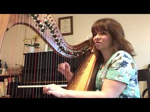 The Joker and the Queen - Ed Sheeran/Taylor Swift (harp cover)