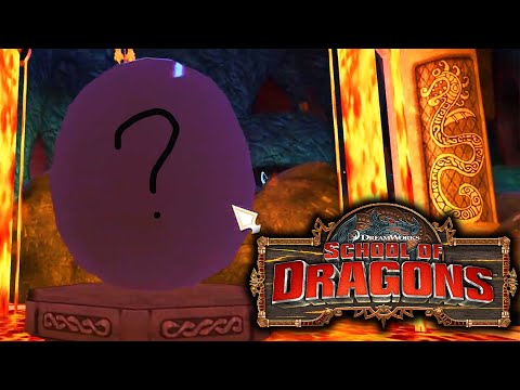 SpicyRaider and RaiderLabs