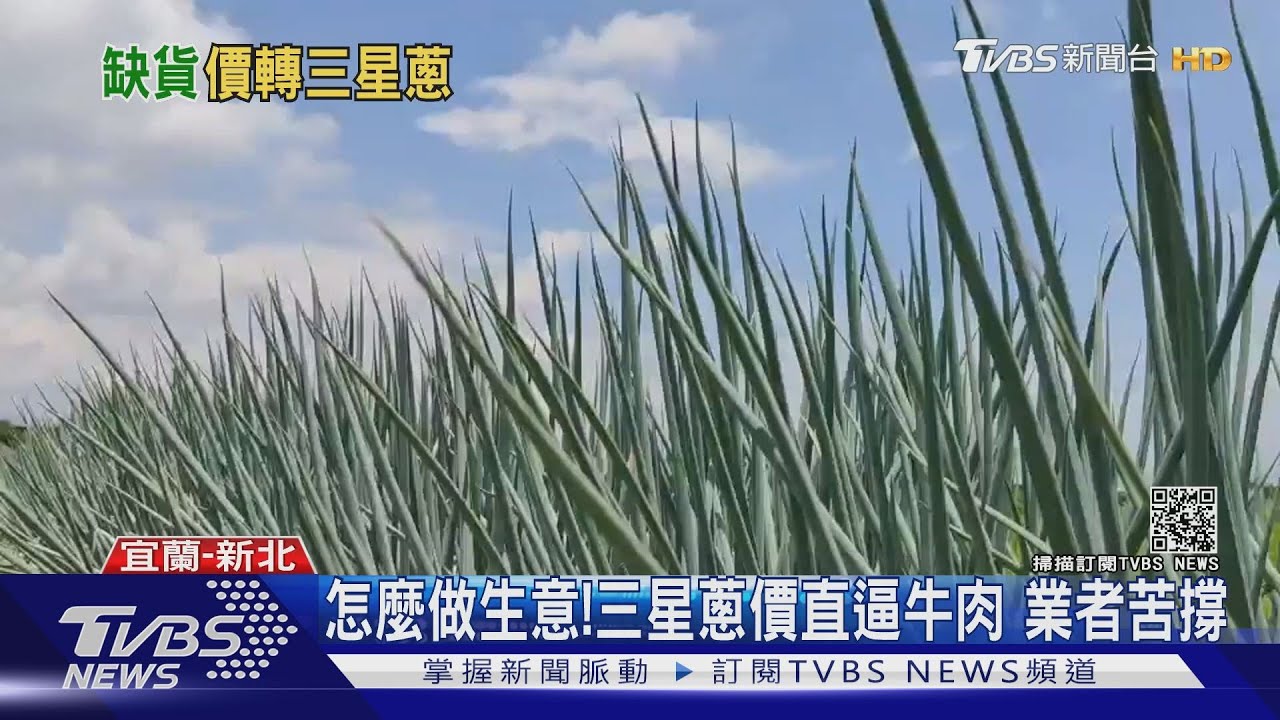漲漲漲!中南部水患農產量供不應求 三星蔥價格每公斤恐飆破300元