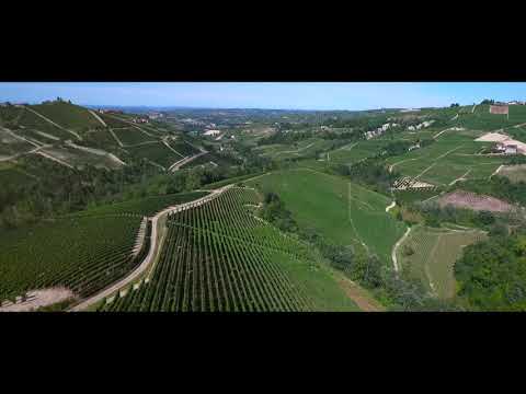 Tenuta Carretta - The Green Experience, cura del paesaggio e del vigneto