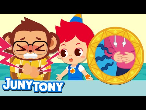Why Does My Stomach Growl? | Curious Songs for Kids | Wonder Why | Preschool Songs | JunyTony
