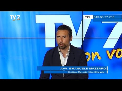 Il mercato ittico di Chioggia - Tv7 con Voi 20/05/21 (1 di 3)