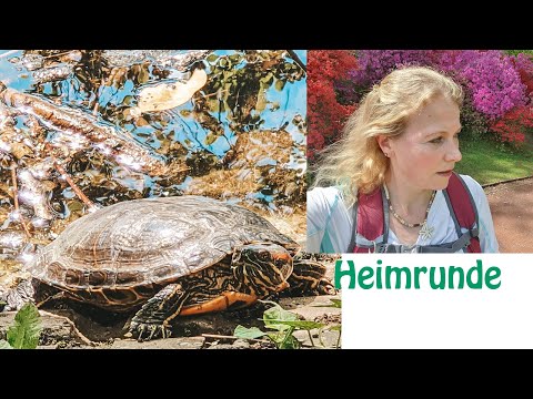 Tierische Heimrunde Bochum
