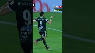 Brasil em fevereiro: PRAIA 🏖️, SOL🌞 e CARNAVAL 🎉👯‍♂️SÃO PAULO NO MORUMBIS EM FEVEREIRO: PRIMAVERA