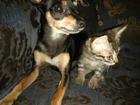 Sacha y. Ton. Y. Emily. Amigo. Parasiempre