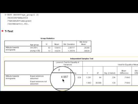 Levene's F test on equal population variances in SPSS