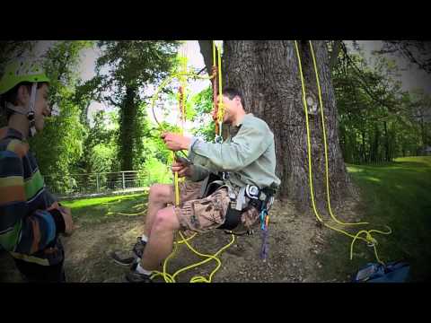 comment monter dans un arbre pour elaguer