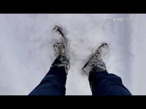 Brodina, Judetul Suceava