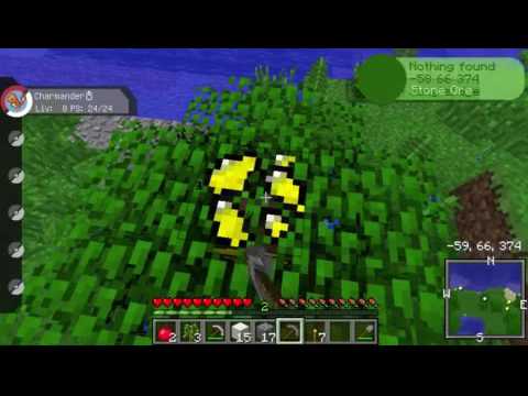 pixelmon ita E6 pietra foglia