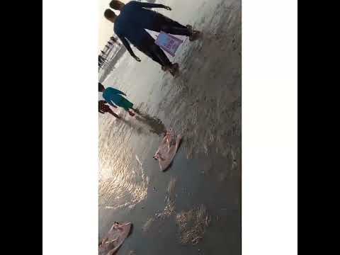 visit to Balachadi beach