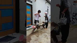 Download lagu the motorbike taxi driver is cool and nice mp3 Download lagu the motorbike taxi driver is cool and nice mp3
