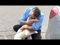 Man learns his adopted dog is someone else's. His response is perfect.
