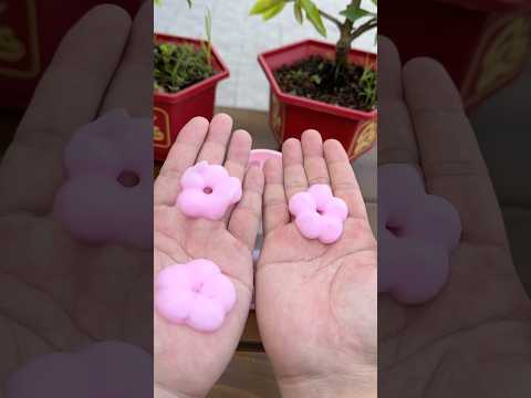 So sánh nước rủa tay của bố và mẹ