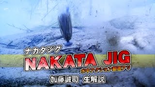 加藤誠司がナカタジグを生解説