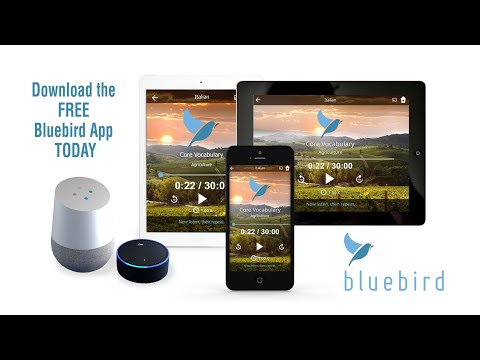 Video of Learn 163 Languages | Bluebird