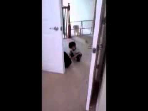 angry baby vs angry bird!