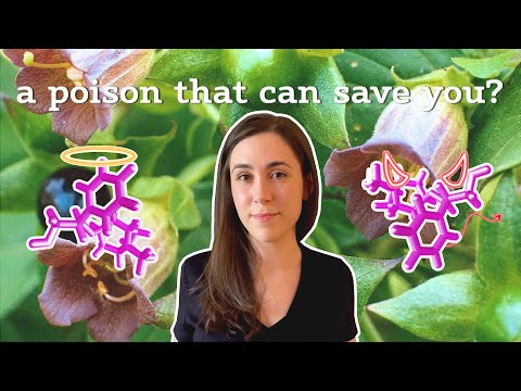 belladonna: a tale of two ligands